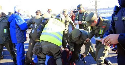 gendarme carancho
