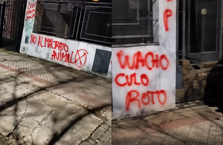 gato lomas