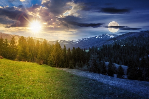 landscape,with,grassy,meadow,and,spruce,forest,on,the,hill